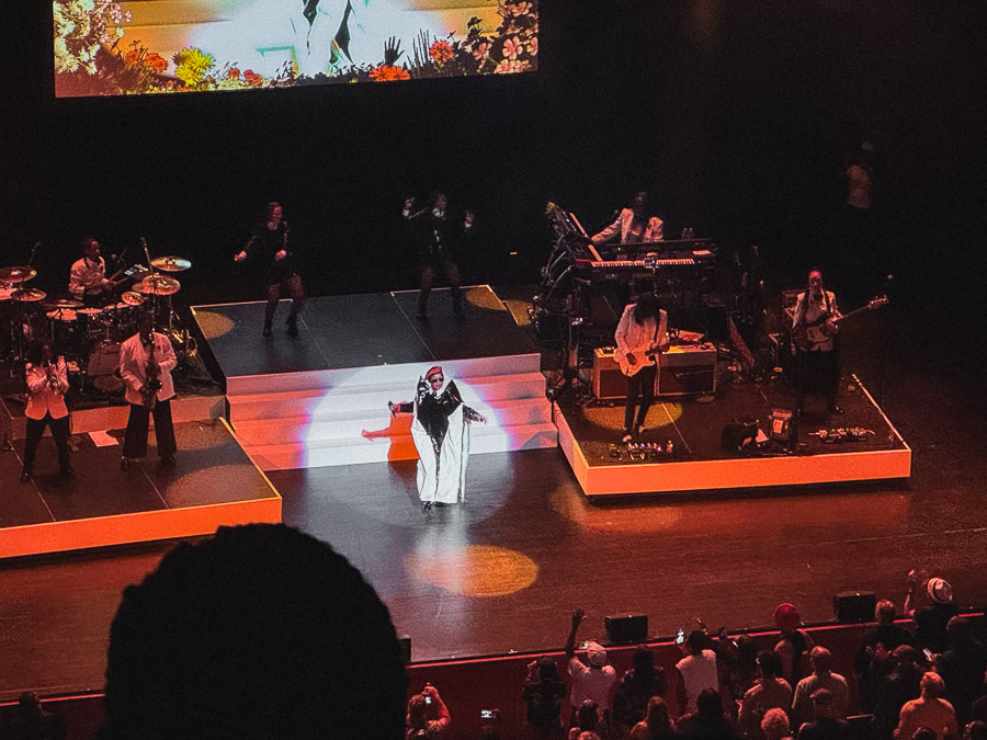 Janelle Monáe 16