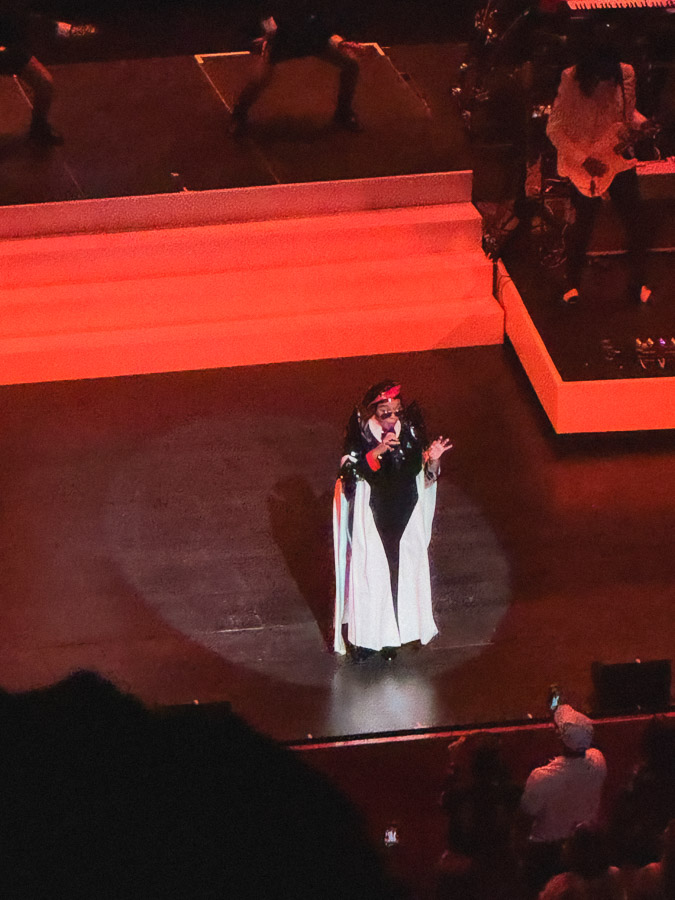 Janelle Monáe 18